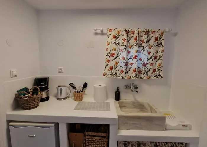 Lejlighed Anamnisi *